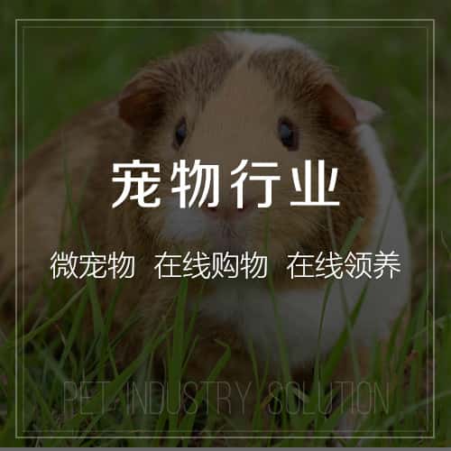 芜湖宠物