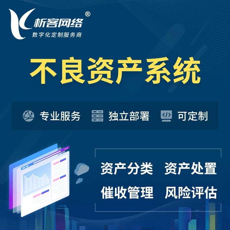 芜湖不良资产管理系统