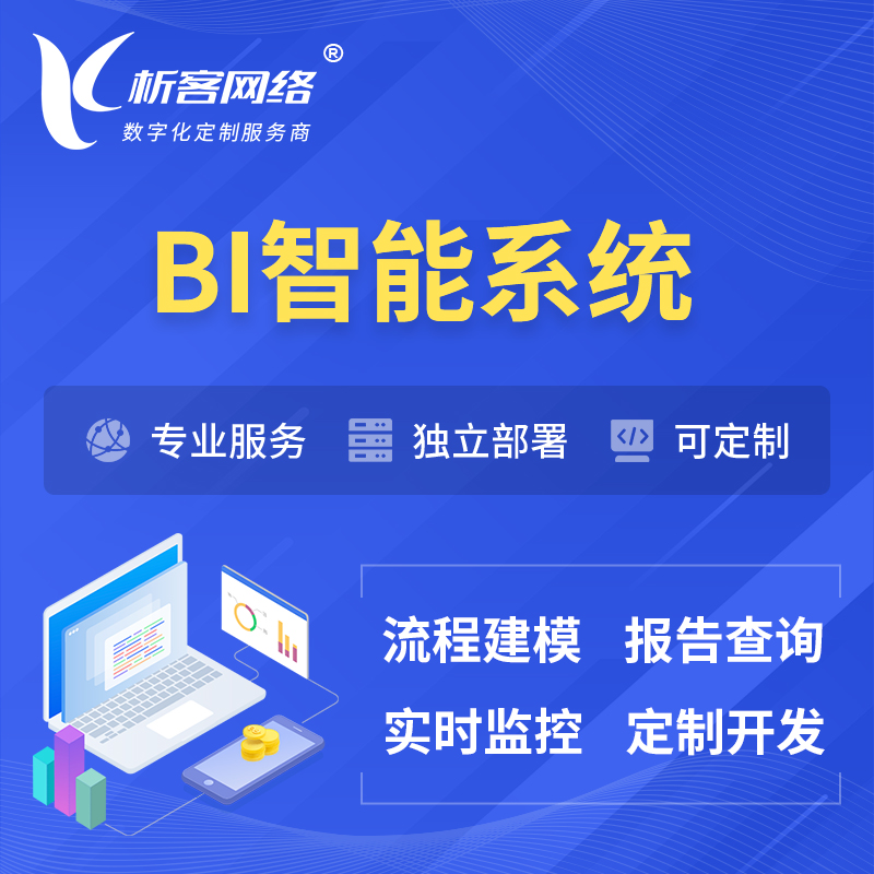 芜湖BI智能系统 | BI数据可视化