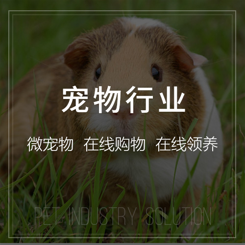 国产化网站定制如何应对芜湖企业信息安全挑战